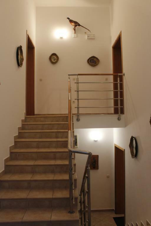 Apartmani Zeljko Метайна Екстер'єр фото